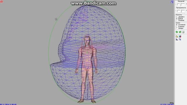 Адаптометрия   Matrix Graphic Vision в 3 D формате  Обучение в Москве или по скайпу!