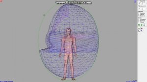 Адаптометрия   Matrix Graphic Vision в 3 D формате  Обучение в Москве или по скайпу!