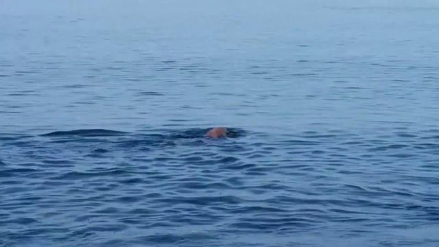 20150811 175207 смотреть онлайн