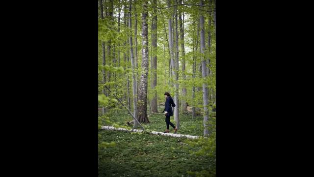 ЛЕС ХОЙЯ-БАЧУ ПОЛОН ПРИЗРАКОВ?
