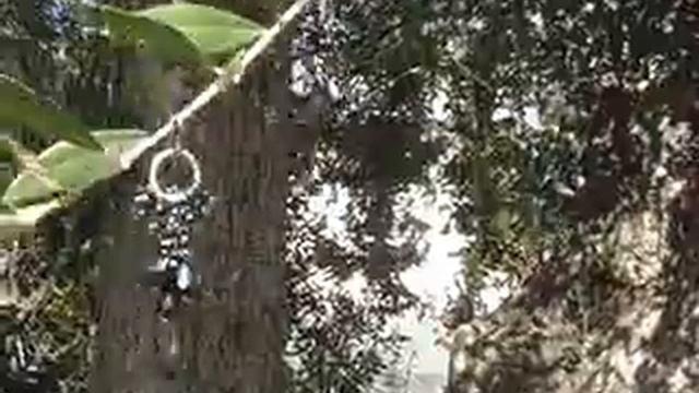 ночной дождь смотреть онлайн