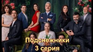 Обзор турецкого сериала "Подснежники" 3 серия