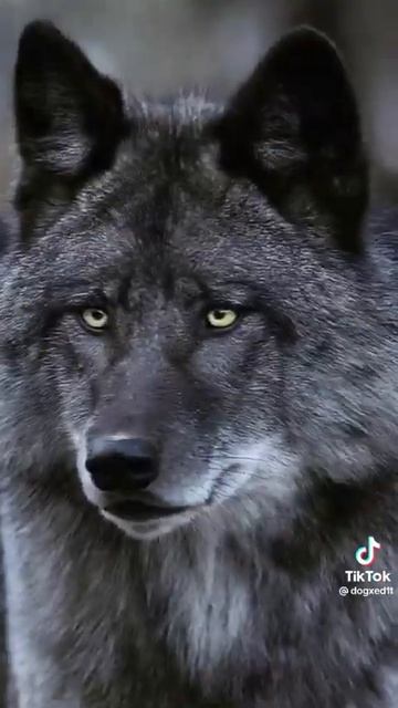 12 сентября 2022 г. смотреть онлайн