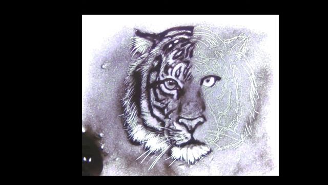 Тигр. Пескография смотреть онлайн
