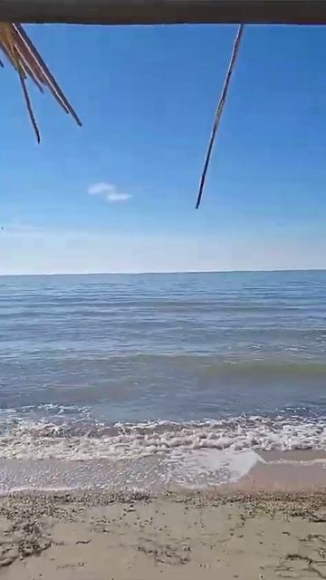 Море волнуется раз... #море #рек #топ