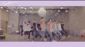 SEVENTEEN "Pretty U" (Dancecal LOVE Ver.) Dance Practice