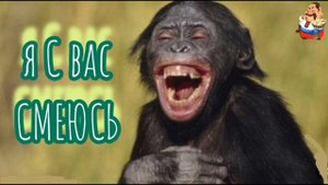 Я С ВАС СМЕЮСЬ