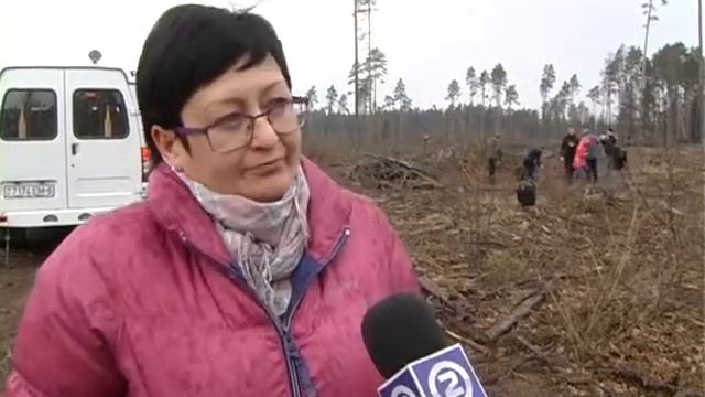 Акция «Неделя леса» 07 04 2017 смотреть онлайн