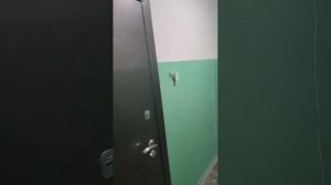 1 ком квартира 30 м.кв