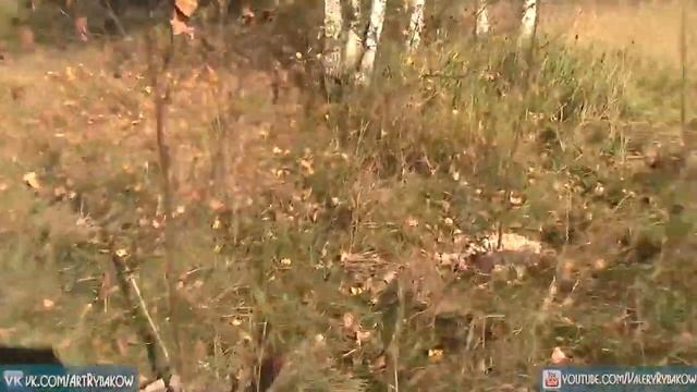*24 Простая жизнь в деревне в глубинке Беларуси. Художник в деревне восстанавливает деревенский дом