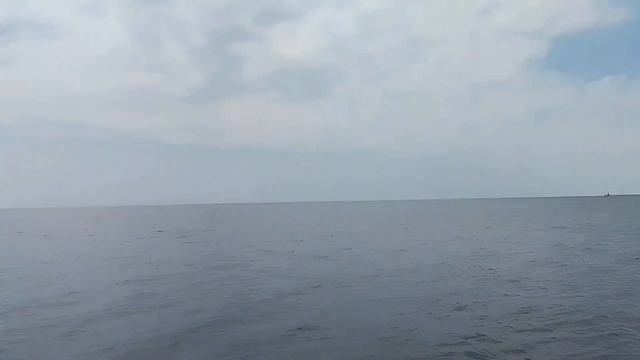 Бердянск Азовское море.