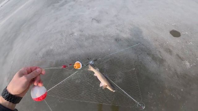 Наловил на хапугу смотреть онлайн