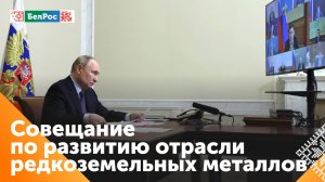 Путин: России предстоит наладить полный цикл индустрии редкоземельных металлов