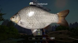 рр4 затрофеил карася на донку + червь