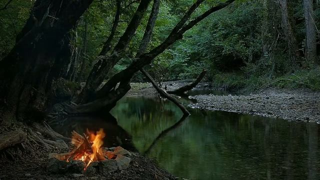 Костёр в лесу для Релакса (звуки природы) смотреть онлайн
