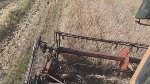 Уборка ячменя 2018 ДОН 1500А