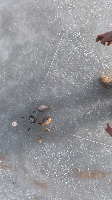 Рыбалка на хапугу смотреть онлайн