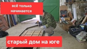 Влог 161// Пересадили его//Всё только начинается// Обрезаем весь виноград.