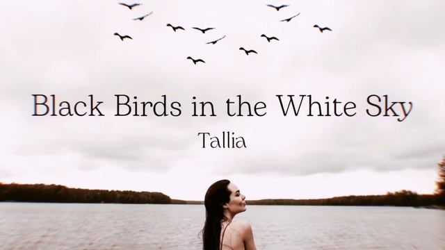 Tallia - Black Birds in the White Sky - Music | Таллия - Чёрные птицы в белом небе - Музыка смотреть онлайн