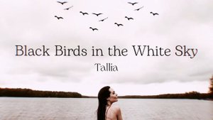 Tallia - Black Birds in the White Sky - Music | Таллия - Чёрные птицы в белом небе - Музыка