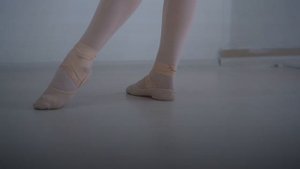 Levita