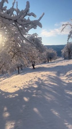 Рассвет в селе Гасик