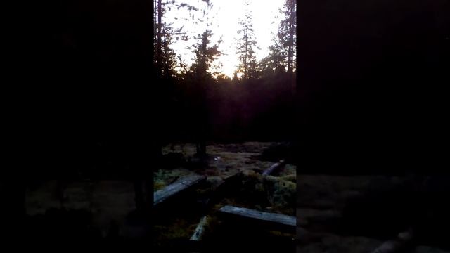 Раздумья у костра в лесу. 1Magical place 1Магическое место