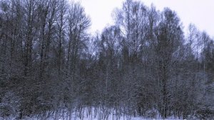 Февраль. Зима продолжается. Сторонка Родная..