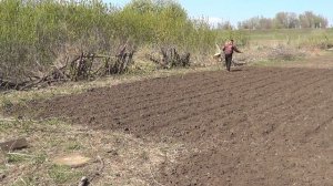 посадка сидератов и их заделка в почву
