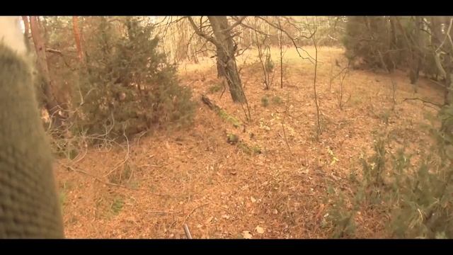 ОХОТА на РЯБЧИКА с МАНКОМ Осень2021-IN BLOOD смотреть онлайн