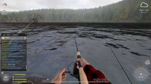 Как я ловлю на МАТЧИ. Советы и Нюансы... ● Русская Рыбалка 4 | РР4