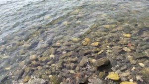 Бетта море набережная пляж 30.08.2021