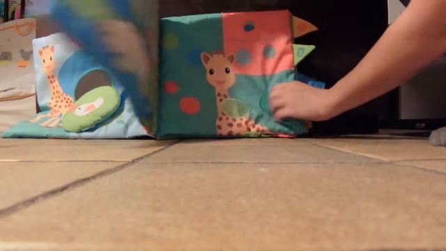 Sensitive Book Sophie la girafe