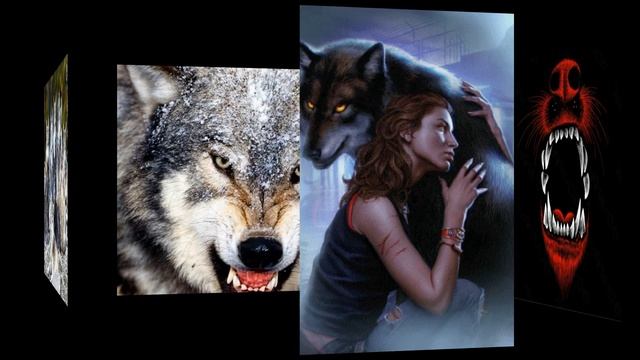 Волчье логово Размышления Майский Жук смотреть онлайн