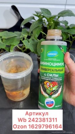 1 таблетка для рассады. Корни у рассады прут как на дрожжах #garden #рассада #огород # сад #plants