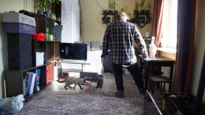 Утро в Сибири Показываю как я кормлю домашних животных ПОДВАЛ ИЛЬИЧА