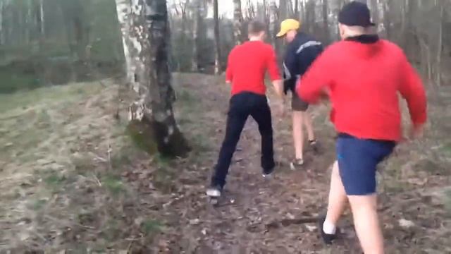 Чарующий Лес смотреть онлайн