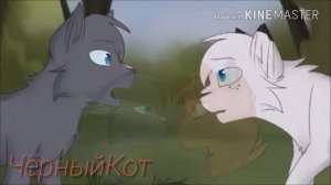 Коты Воители - Клип Синегривка и Жёлудь Comatose