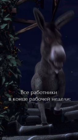 Почему нам не хочется работать перед выходными?