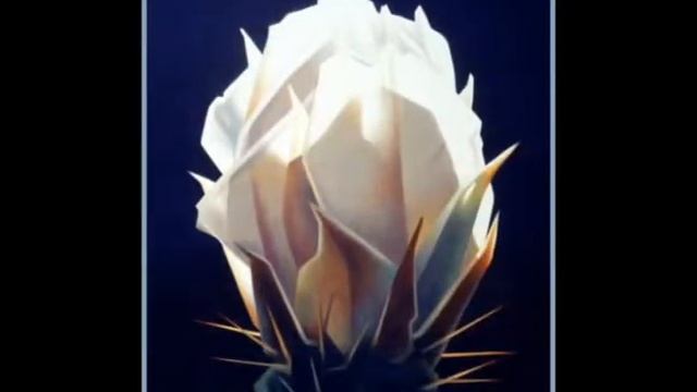 EdMell4.wmv смотреть онлайн