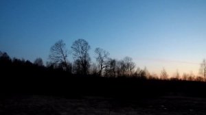 Охота на вальдшнепа 2019