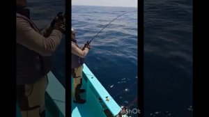 Сима slow jig Владивосток #сима #рыбалка Владивосток #рыбалка #японскоеморе