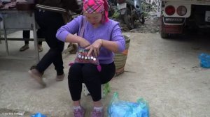 1095 Days Harvesting Apples, Dak core, Tomatoes, Sweet Potato Cakes Selling. Trieu Mai Huong