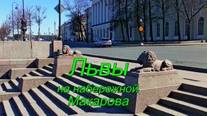 Львы на набережной Макарова