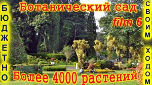 🔴Королевский Ботанический сад Перадения🔴Царство летучих лисиц🔴Шри Ланка🔴Botanic Garden🔴