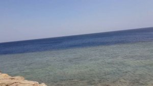 Египет пляж горки и бассейн отеля Queen Sharm Resort Egypt Beach Hotel Queen Sharm Resort