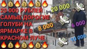 💰🔥💰 20 0000 рублей! Самые дорогие голуби на выставке-ярмарке в г.Красный Луч. Николаевские голуби