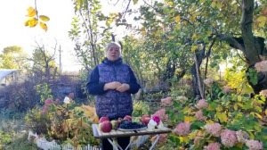 Хозяин нашего сада