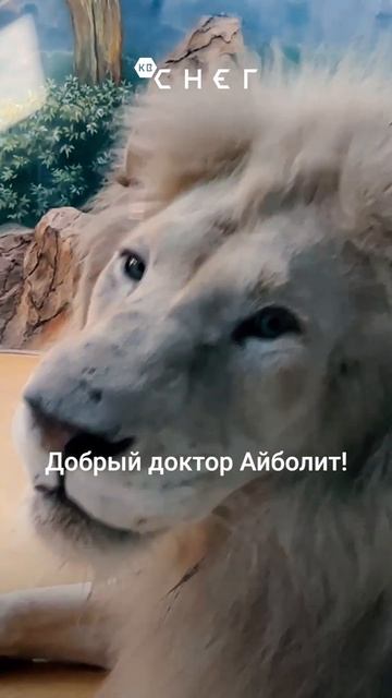 Ветеринар зоопарка. Животные его не любят. смотреть онлайн