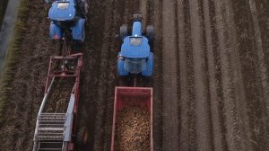 Сельские поля